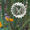 Cosmo Spinner Butterfly